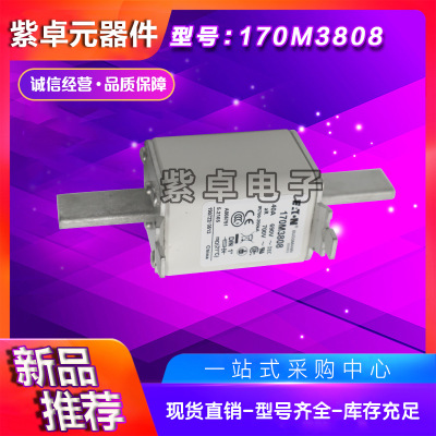 全新原裝Bussmann熔斷器170M3973 170M3974 170M3975